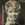 Vignette de Annie Cordy - Si tu montes sur mon v�lo
