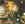 Vignette de Prince - Starfish and Coffee