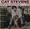 Vignette de Cat Stevens - Sixties