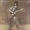 Vignette de Jeff Beck - coin des guit'hard, Le