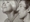 Vignette de Mireille Darc et Serge Gainsbourg - Beaux Biduos