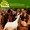 Vignette de The Beach Boys - Wouldn't it be nice