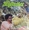 Vignette de Stylistics, The - 70'