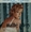 Vignette de Math Altry - Love on the Bide