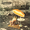 Vignette de Supertramp - Ain't nobody but me