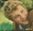 Vignette de Johnny Hallyday - Chez les y-y