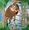 Vignette de Peter Pan - Ann�es cinquante