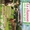 Vignette de Annie Cordy - Ann�es cinquante