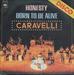 Pochette de Caravelli - Born to be alive
