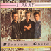 Pochette de Blossom Child - I pray