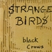 Vignette de Black Crows - Strange birds