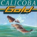 Pochette de Gold - Calicoba