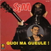 Pochette de Sim - Quoi ma gueule !