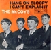 Vignette de The McCoys - Hang on Sloopy