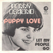 Vignette de Donny Osmond - Puppy Love