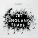Pochette de PJ Harvey - Let England Shake