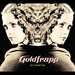 Pochette de Goldfrapp - Pilots