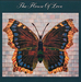 Vignette de The House of Love - Shine on