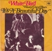 Pochette de It's a beautiful day - White Bird