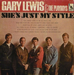 Vignette de Gary Lewis & The Playboys - She's just my style