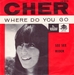 Pochette de Cher - See see rider