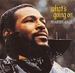 Vignette de Marvin Gaye - Mercy Mercy me (The Ecology)