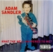 Vignette de Adam Sandler - Ode to my car