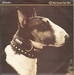 Vignette de Pixies - Here comes your Man