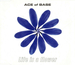 Vignette de Ace of Base - Life is a flower