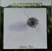 Vignette de The Gathering - On most surfaces (Inut)