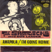 Vignette de The Spotnicks - I'm going home