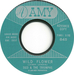 Vignette de Tico and the Triumphs - Wild flower
