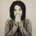 Pochette de Bjrk - Human Behaviour