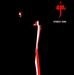 Vignette de Steely Dan - Peg