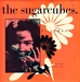 Pochette de The Sugarcubes - Birthday