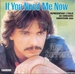 Pochette de Alan Sorrenti - If you need me now