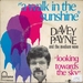 Pochette de Davey Payne and The Medium Wave - A walk in the sunshine