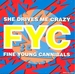 Vignette de Fine Young Cannibals - She drives me crazy