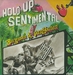 Pochette de Bergman & VanHouten - Hold-up sentimental