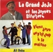 Pochette de Le Grand Jojo et les Joyeux Bituriers - Viens boire un p'tit coup  la maison