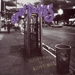 Vignette de Spin Doctors - Two Princes